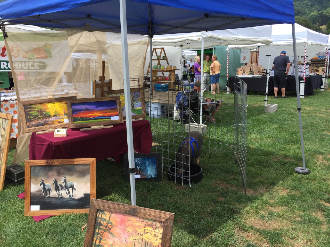 Maggie Valley Craft Fair 2025 David Adil